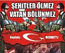 cavusbasili-74 - Ait Kullanıcı Resmi (Avatar)